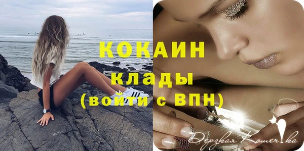 шишки Беломорск