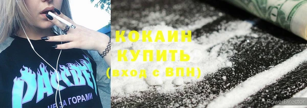 apvp Бикин