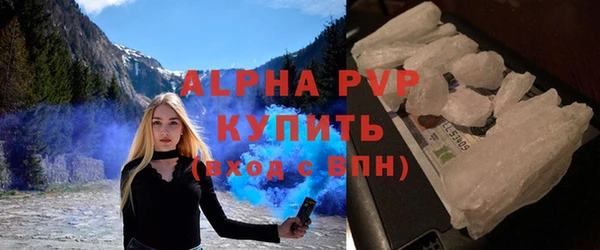 спиды Богородск