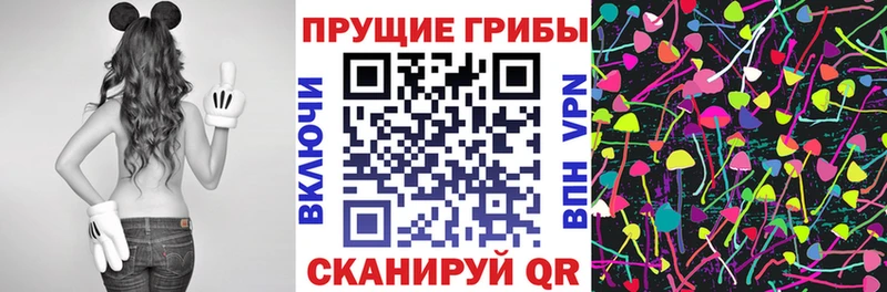 blacksprut зеркало сколько стоит Верхотурье Псилоцибиновые грибы MAGIC MUSHROOMS
